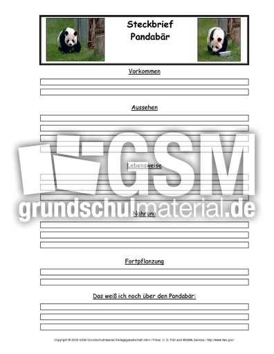 Pandabär-Tiersteckbriefvorlage.pdf
